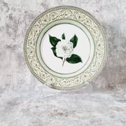 Vintage plate from the royal horticultural society applebee collection of england