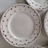 Céranord Saint Amand plates star model