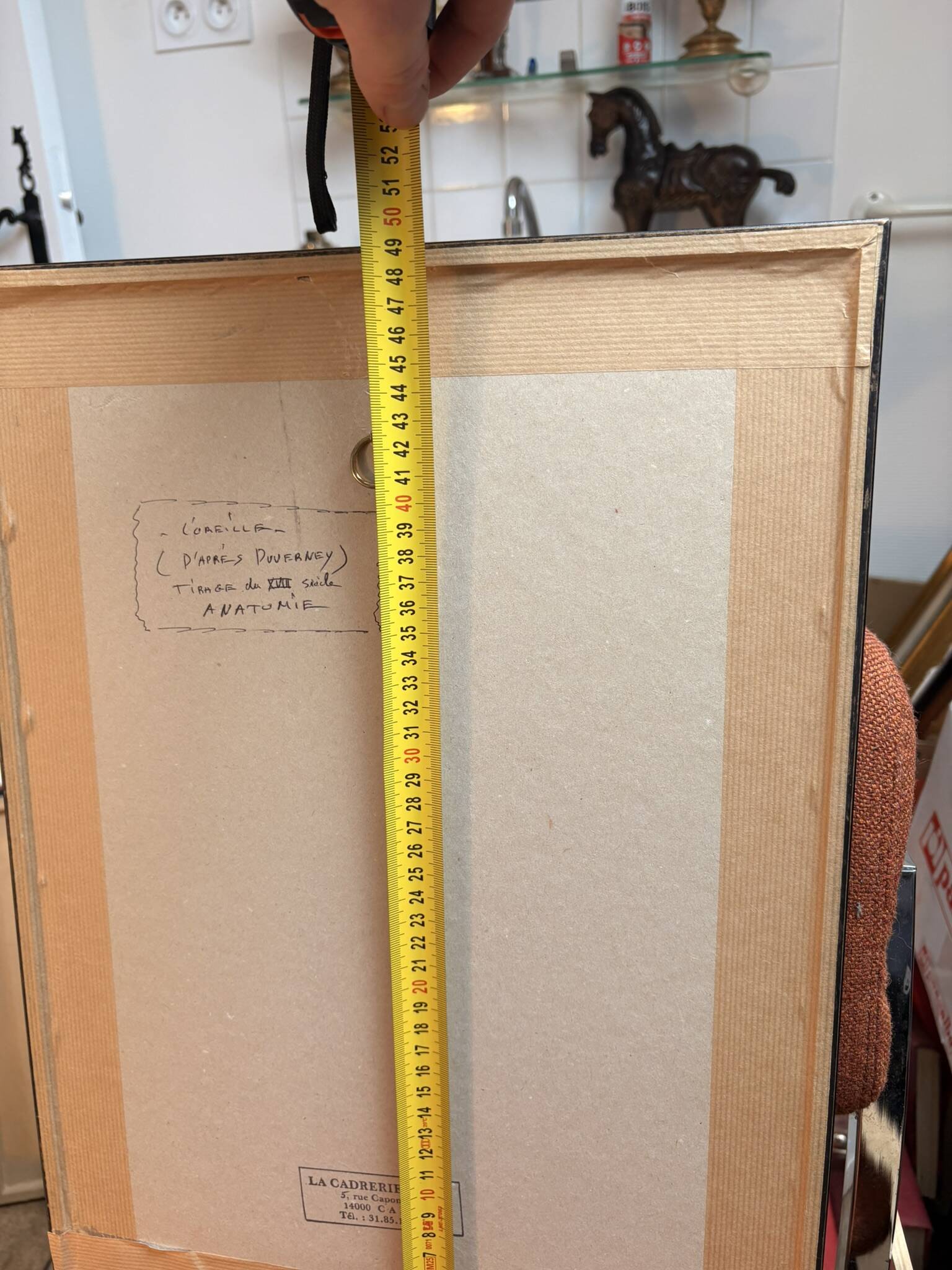 Engraving of Verney Duverney Valsava Encyclopaedia Direct Anatomy Ear