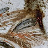 60s ceramic potter oval dish