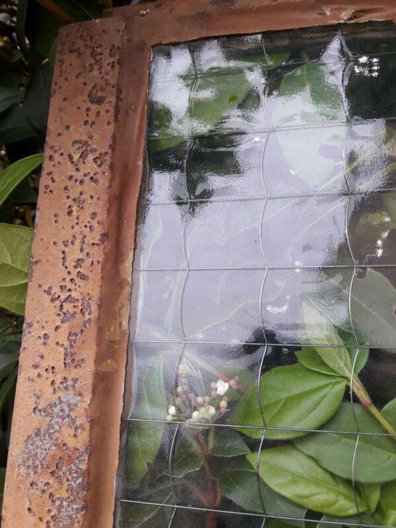 Window L107xH174 industrial curved metal glass roof frame reinforced glass