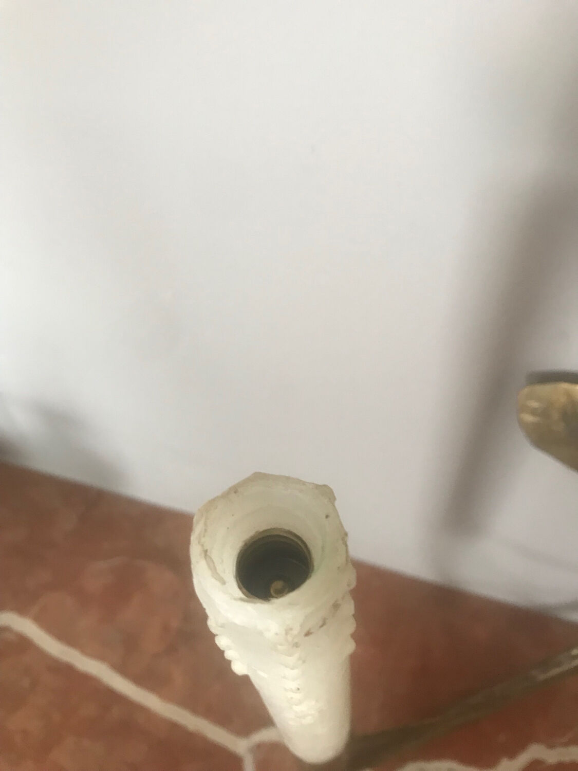 Bronze wall lamps leaves of branches