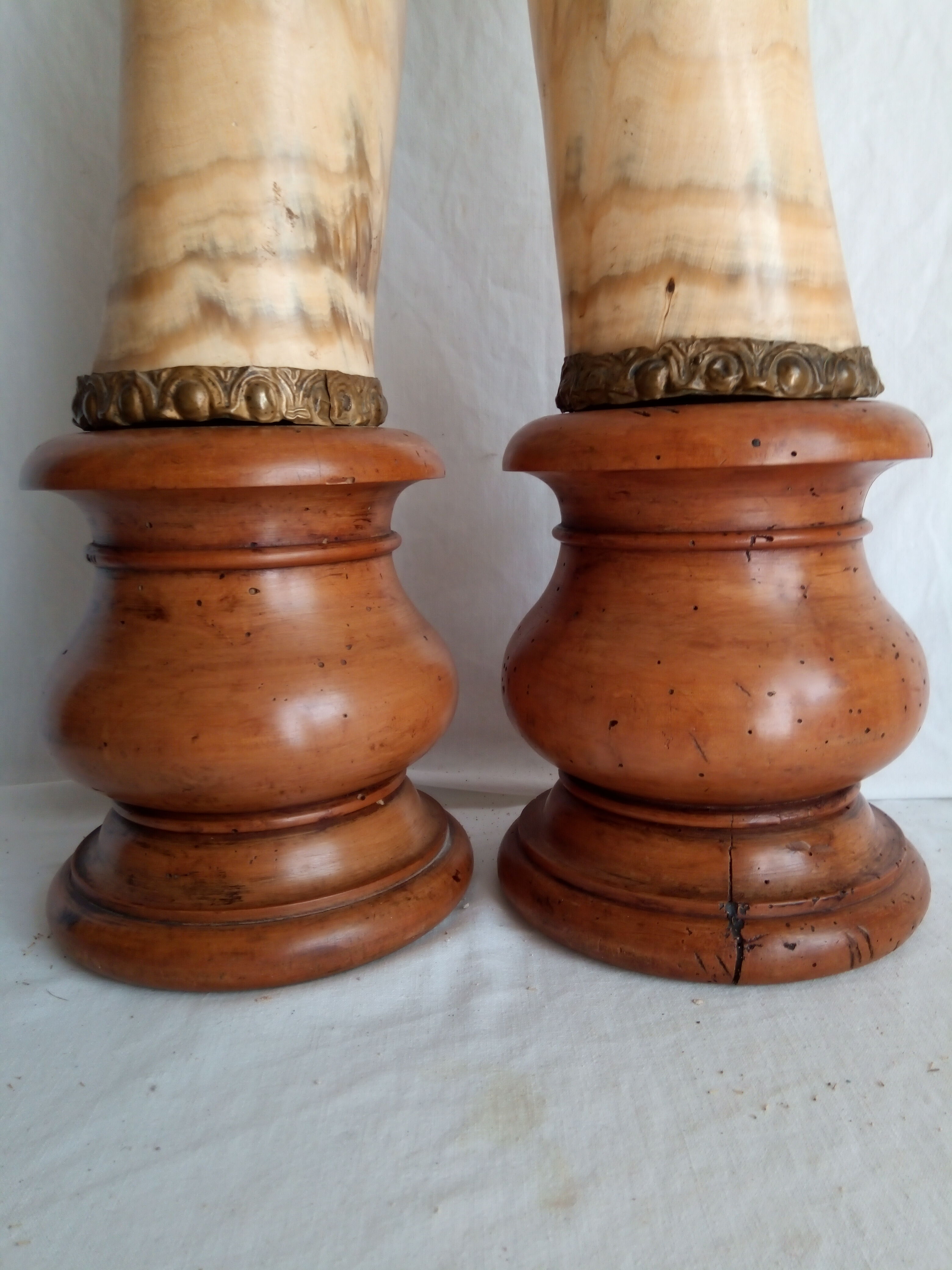 Pair of horns mounted on a pedestal
