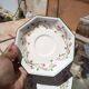 6 tea saucers by Johnson Brothers