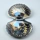 Scallop butter dish in stainless steel and blue glass - vintage 1970