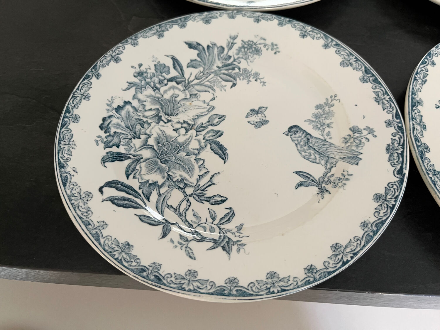 Léon Graves iron earth plates