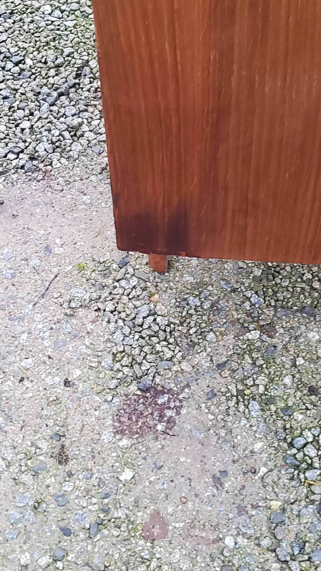 Vintage golden oak chest of drawers with 4 spindle feet from the 1950s