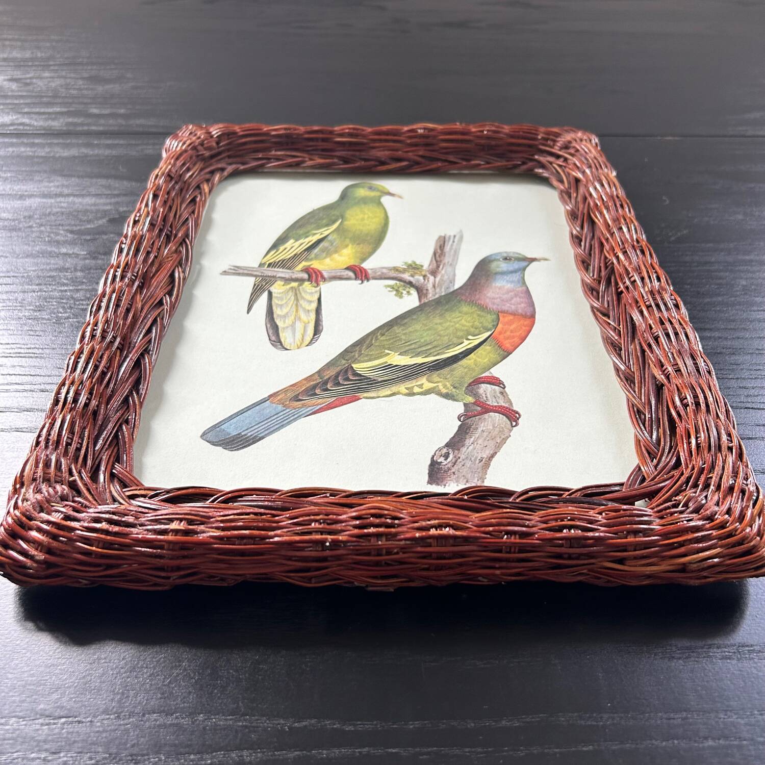 Cadre en rotin et planche ornithologique