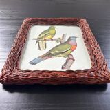 Rattan frame and ornithological board