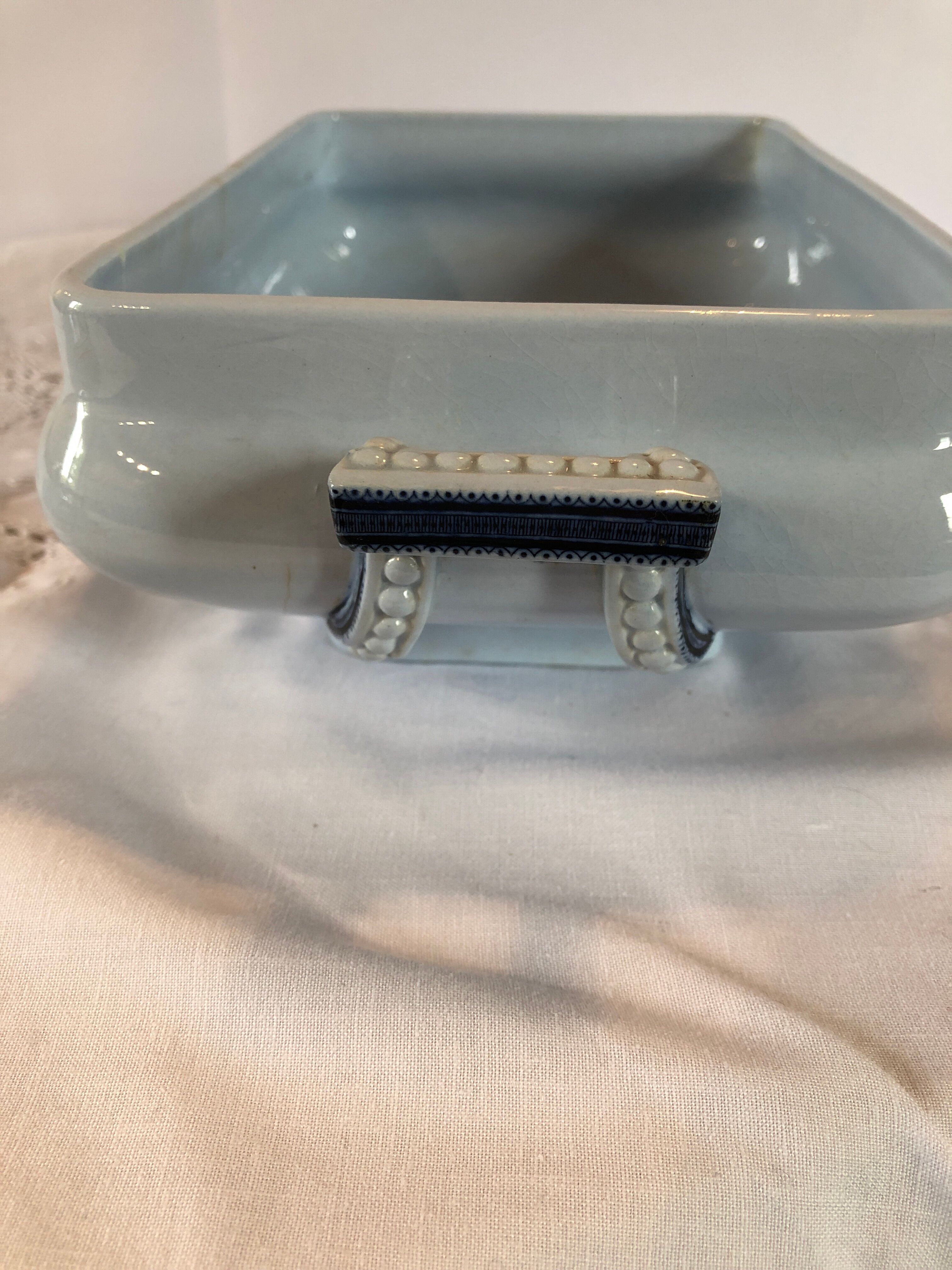 Blue vegetable in iron Earth