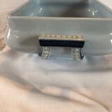 Blue vegetable in iron Earth