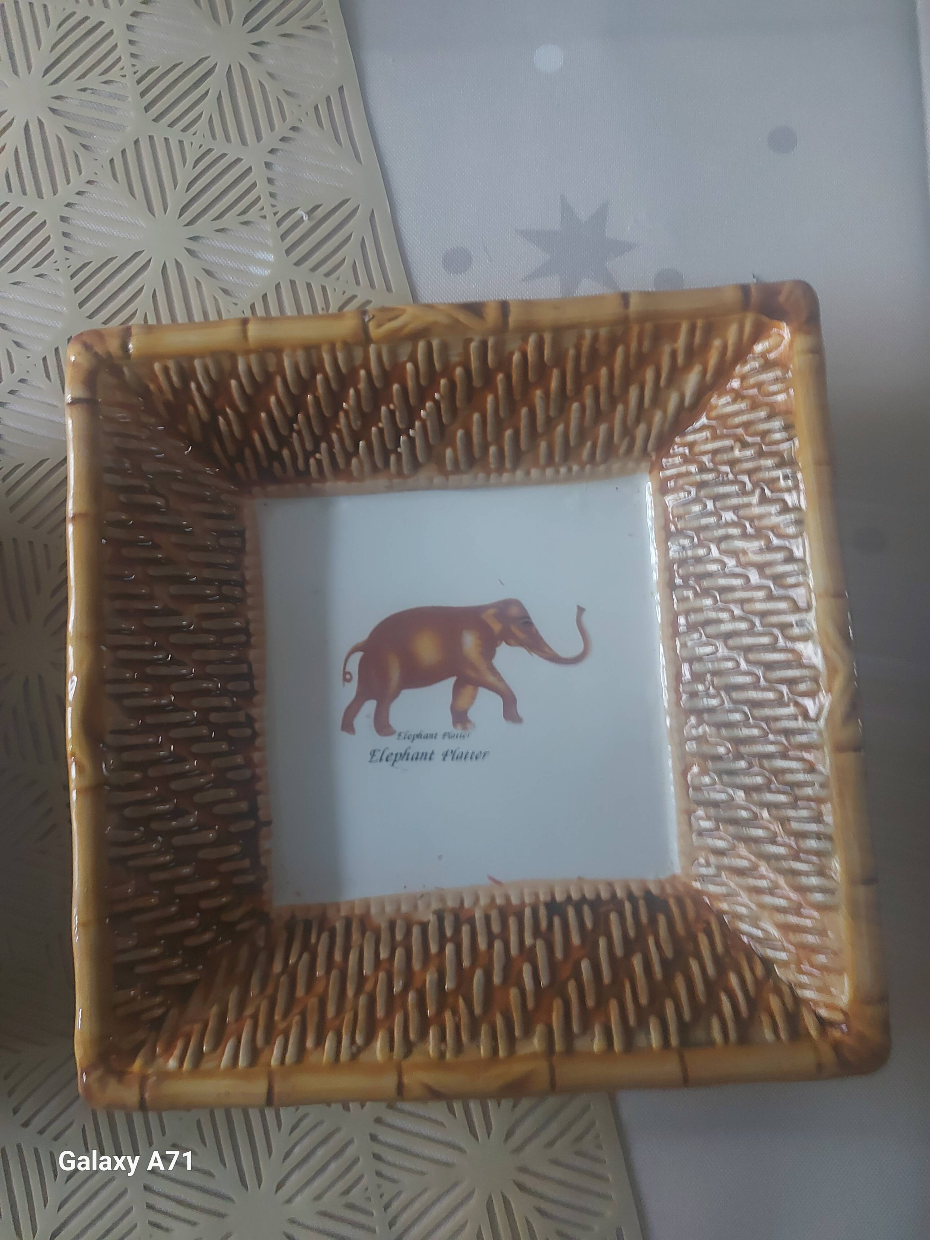 Lot de 8 assiettes de la savane