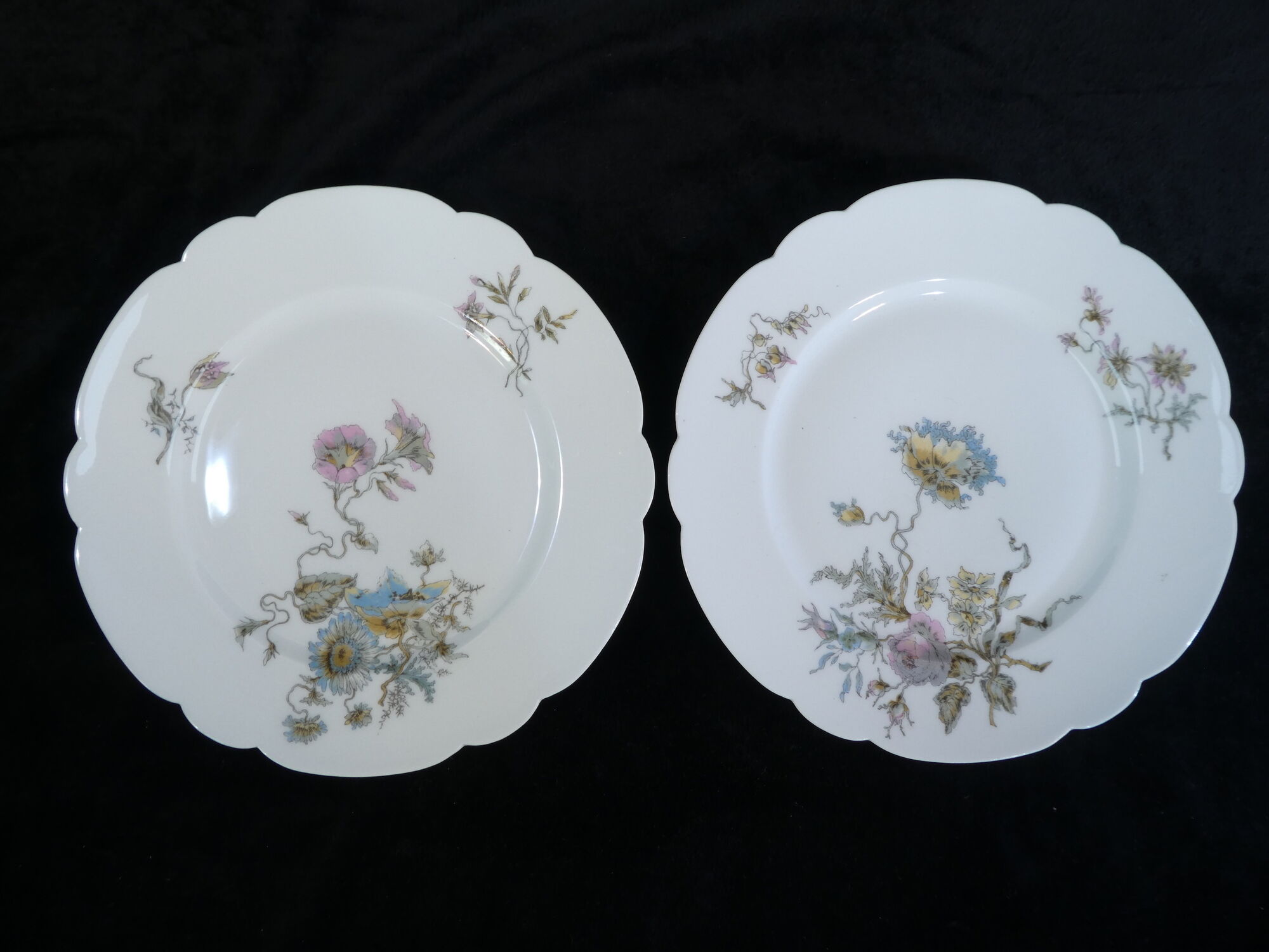 12 Limoges porcelain dinner plates for E.Bourgeois Paris