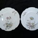 12 Limoges porcelain dinner plates for E.Bourgeois Paris