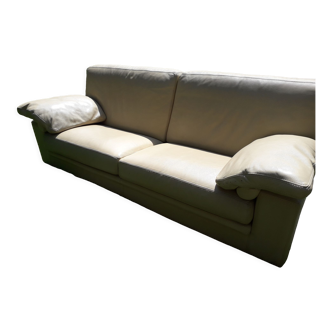 Canape cuir roche bobois