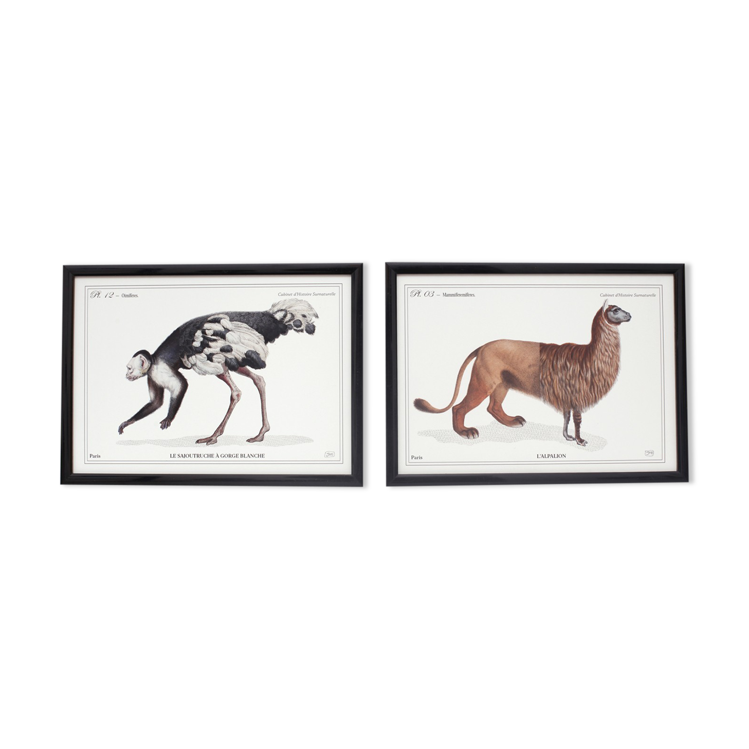 Set of 2 framed chimera lithography animal engraving