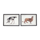 Set of 2 framed chimera lithography animal engraving