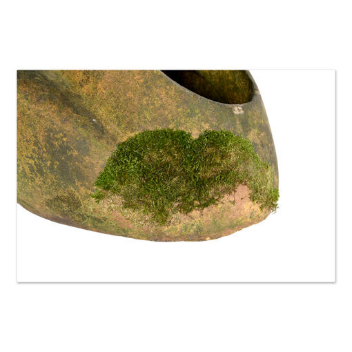 Cement toad pot cover