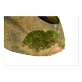 Cement toad pot cover