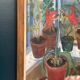 Original Swedish Oil On Panel – “Plant Pots” By R. Eriksson – Vintage & Framed