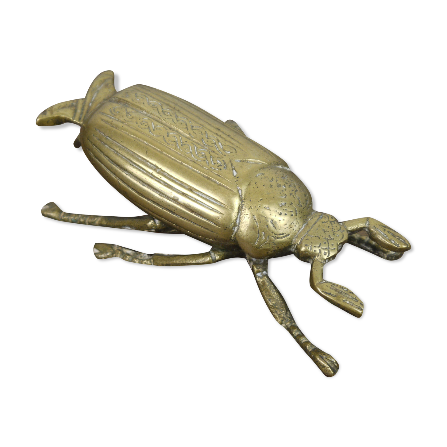 Brass beetle