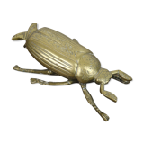 Brass beetle