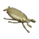 Brass beetle