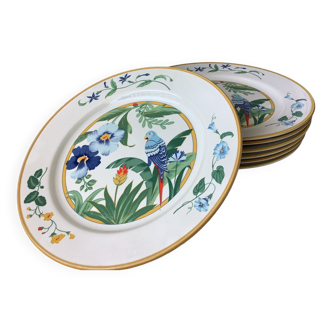 Plates Ara Pier Import Japan exotic décor