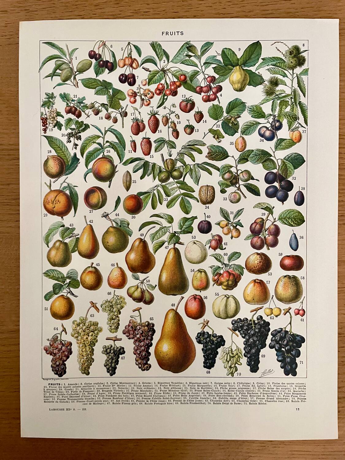 Réserve Audrey - Lot de 6 lithos XXe