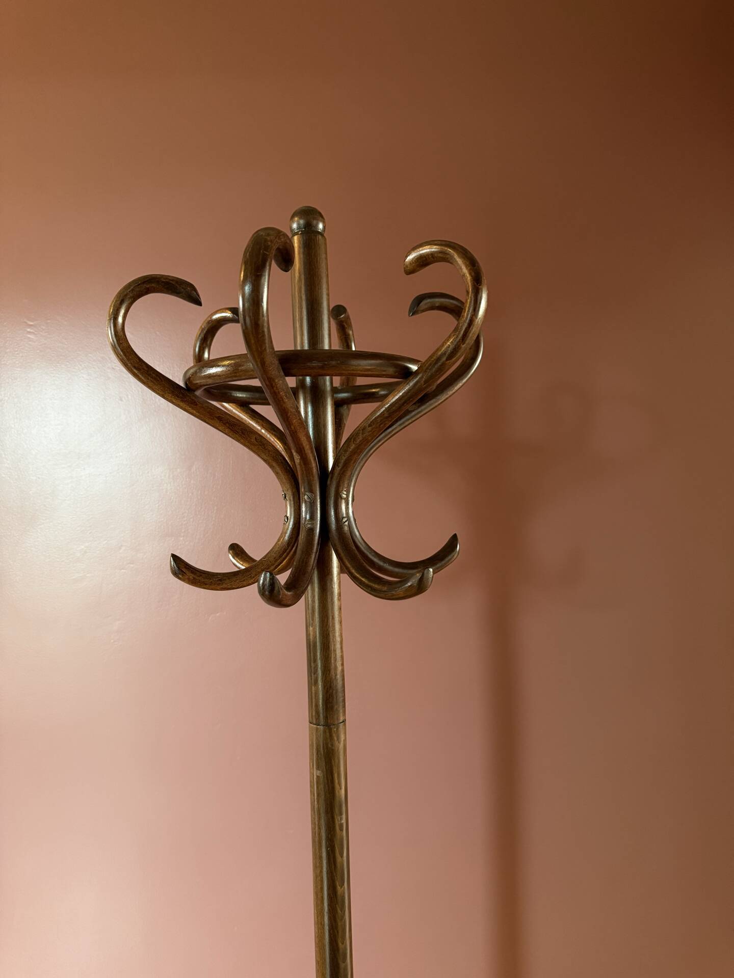 Free-standing coat rack in curved wood, parrot style Baumann or T.