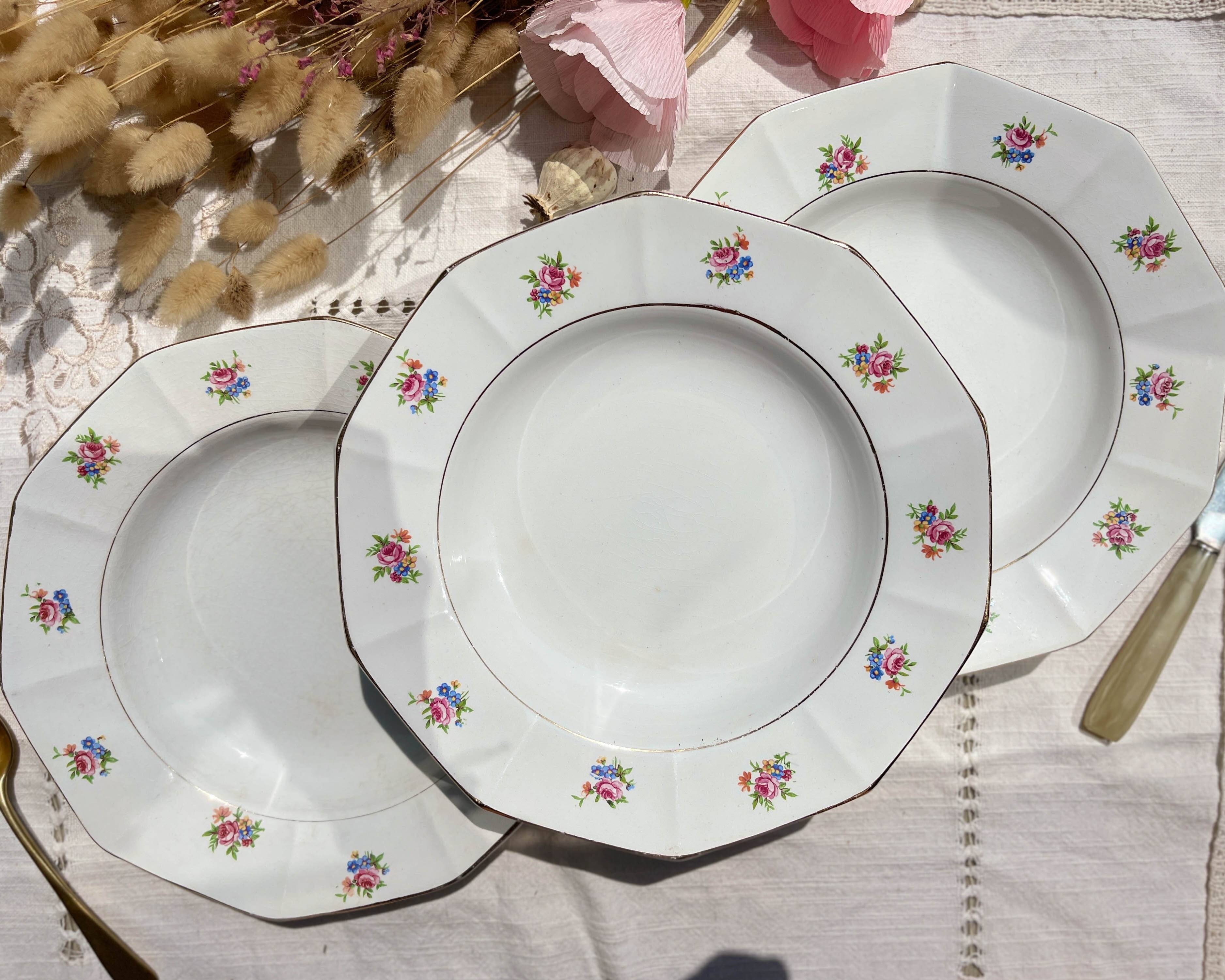 5 vintage hollow plates in opaque porcelain SALINS floral pattern
