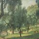 Octave Denis Victor Guillonnet (1872 - 1967) The Olive Trees,