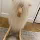 Wooden rocking horse and lambskin
