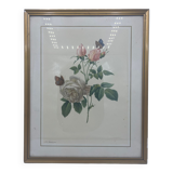 Vintage lithography frame