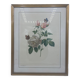 Cadre lithographie vintage