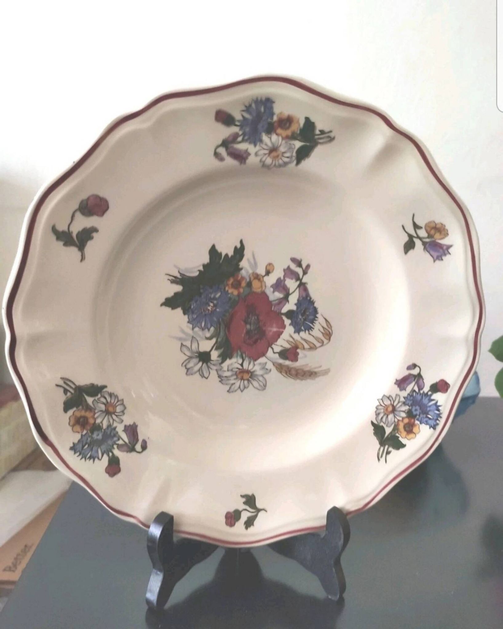 Lot de 6 assiettes Sarreggumine Agreste