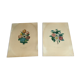 Pair of plates or botanical engravings XVIII