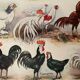 Lithograph on hens from 1921 XXXV