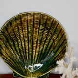 Empty pocket shell-shaped