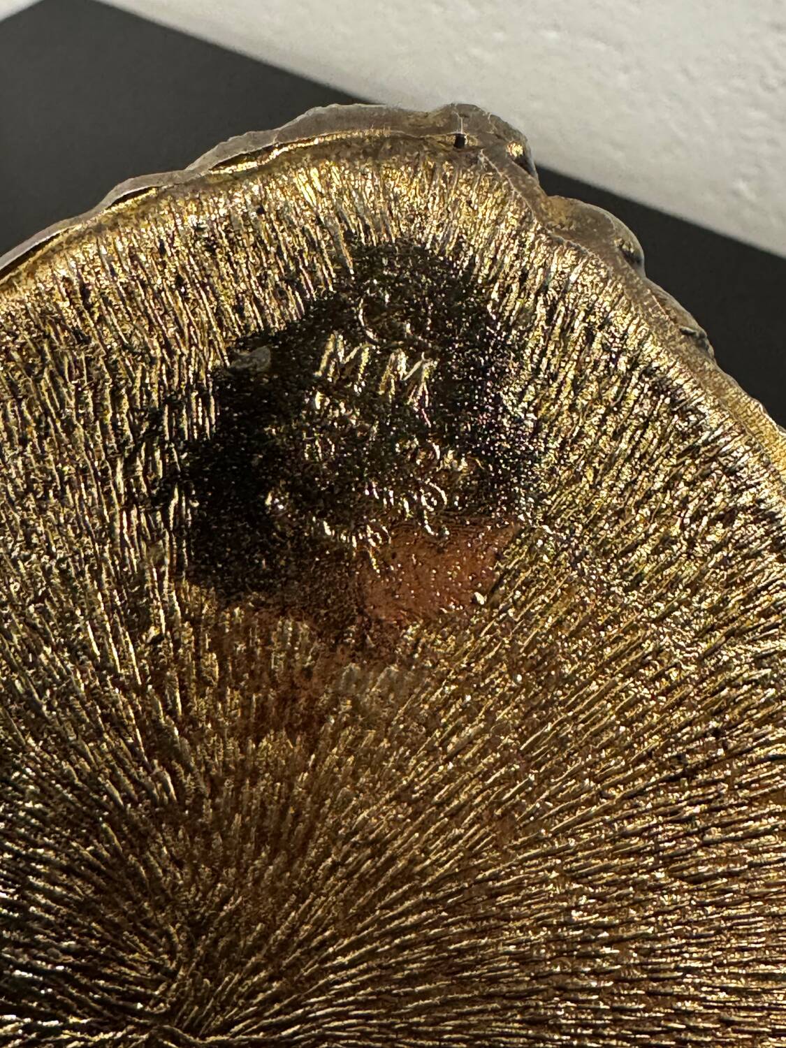 Owl owl Mauro Manetti Ice bucket