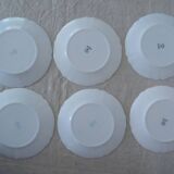 18 plates ronsard, flowers Arcopal 6 x plate hollow dessert