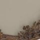 Gilded mirror, Antique mirror