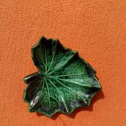 Retro leaf pocket emptier