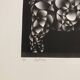 Mario avati (1921-2009), merinos, black manner, 1970