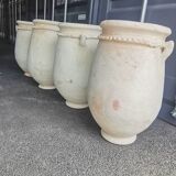 Tamgroute terracotta jar