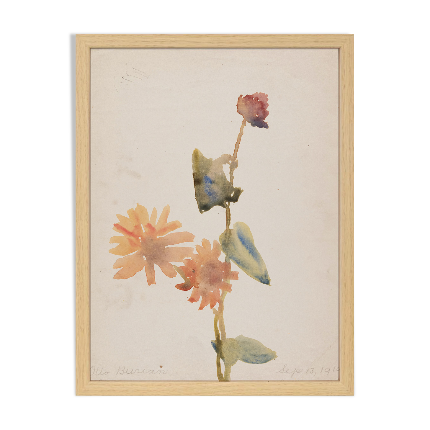 Watercolor illustration flowers