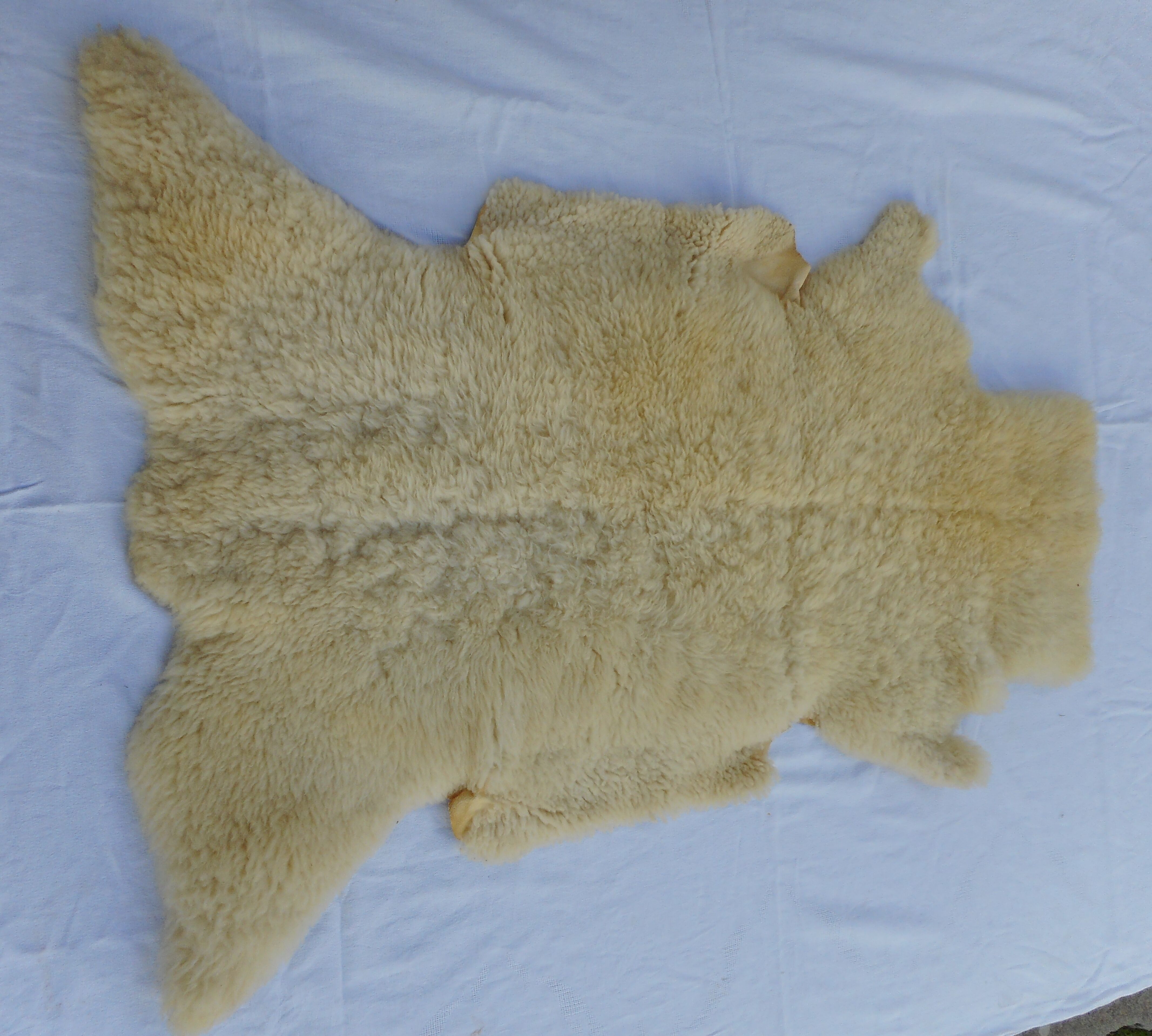 Sheepskin