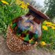 Contemporary ceramic vase decor