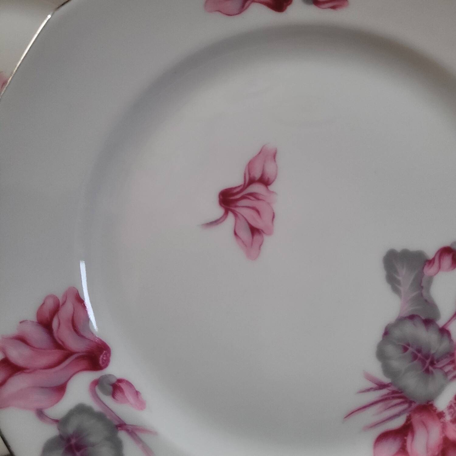 7 assiettes à dessert MBS France – décor de cyclamens roses, liseré ar