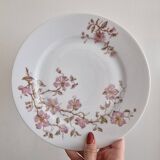 Dessert plates Hache Julien & Cie Vierzon
